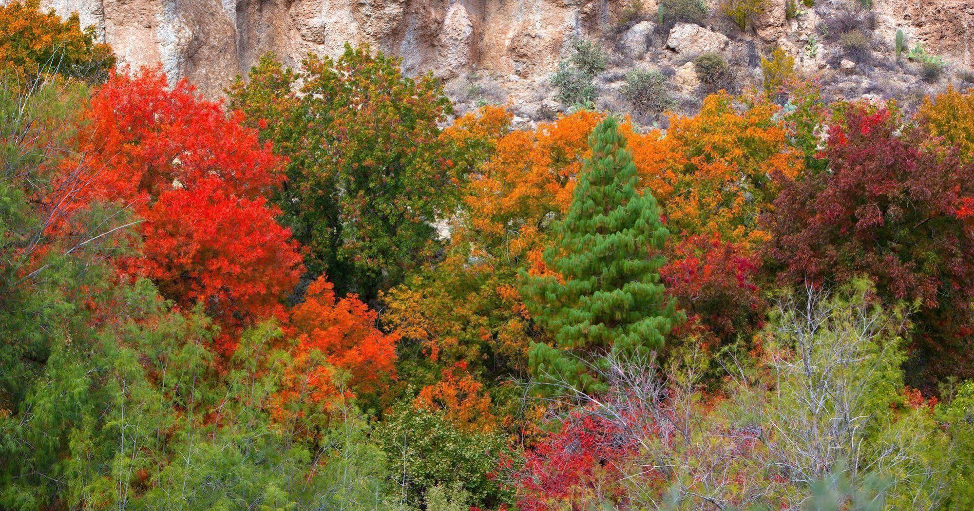 Holiday Inn Express Sedona - Oak Creek By Ihg Eksteriør bilde